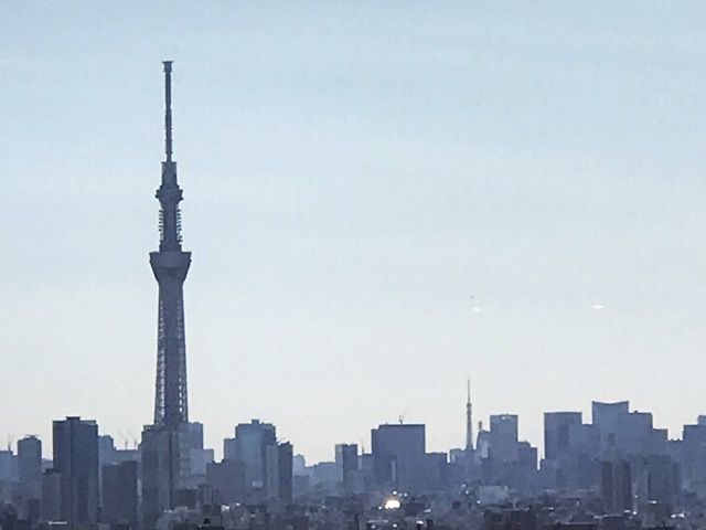 １７年１０月２３日　台風一過！風が凄いよ;^^_c0117831_15280633.jpg