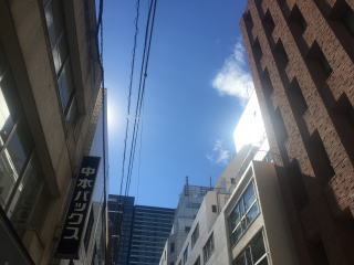 久々の青空!_b0040332_20041079.jpg