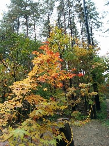 e0085133_00074840.jpg
