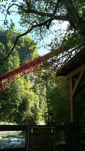 a0167335_23182653.jpg