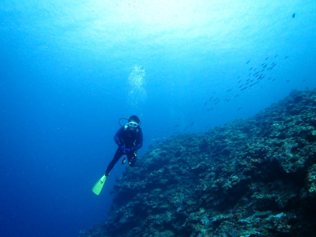 a0189838_19512538.jpg