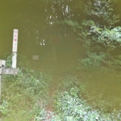 c0077338_10181744.jpg