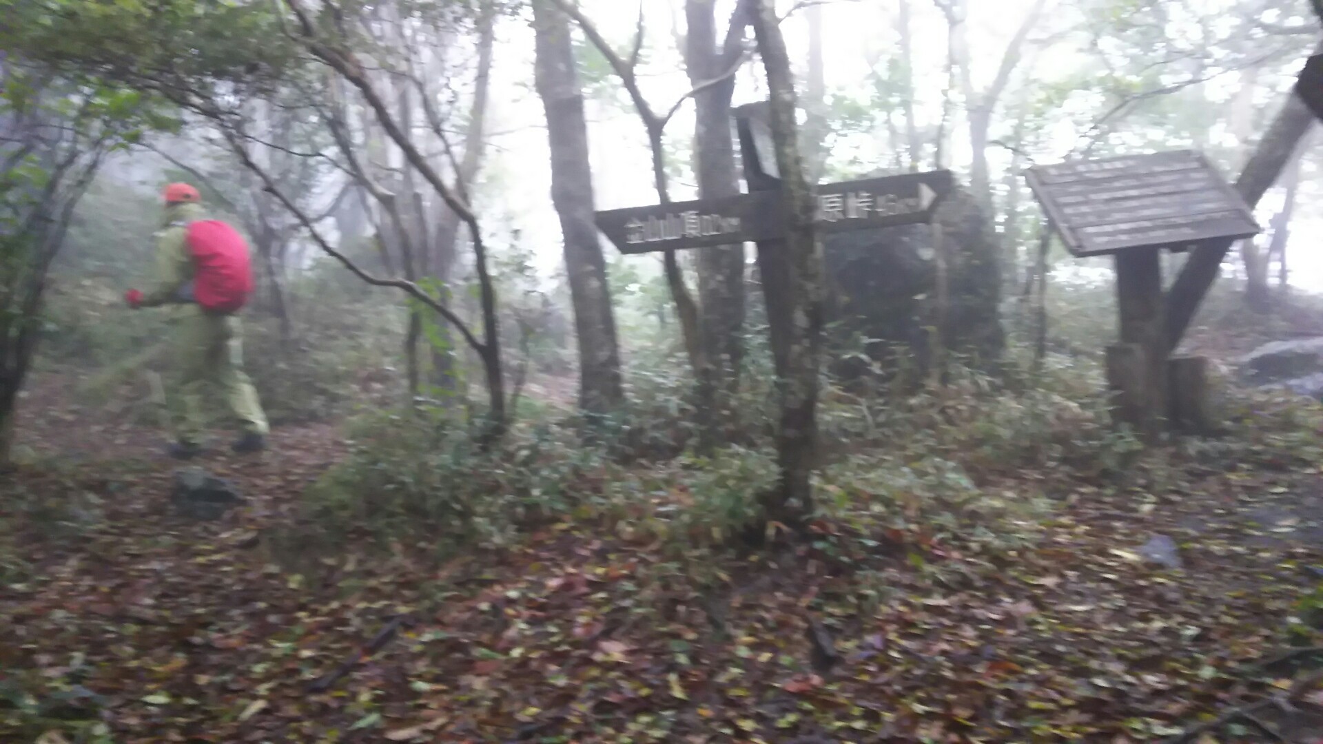 c0077338_10184990.jpg