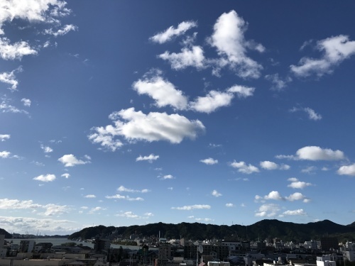 秋の嵐 🌀_e0288544_12152375.jpg