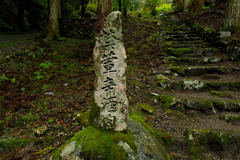 大文字草咲く古知谷阿弥陀寺_f0155048_22545347.jpg