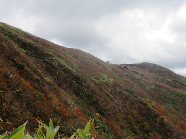東北地方ドライブ旅行_b0227552_15512034.jpg