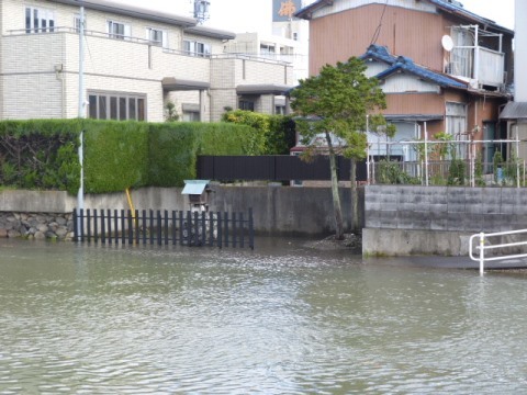 台風一過-大雨台風21号-_f0197754_21283380.jpg
