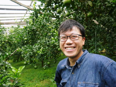 デコポン(肥後ポン) 12月下旬の収穫に向け今年も順調に成長中!まもなく果皮の色が抜け始めます!!_a0254656_18361817.jpg