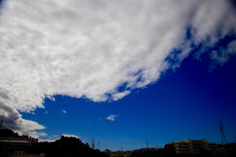 台風一過 。。。 ! !_a0248459_15052345.jpg