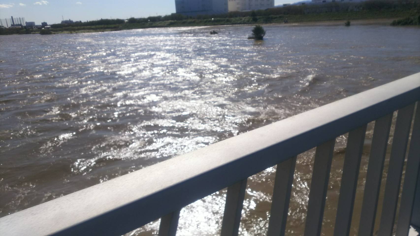 b0374059_13183257.jpg
