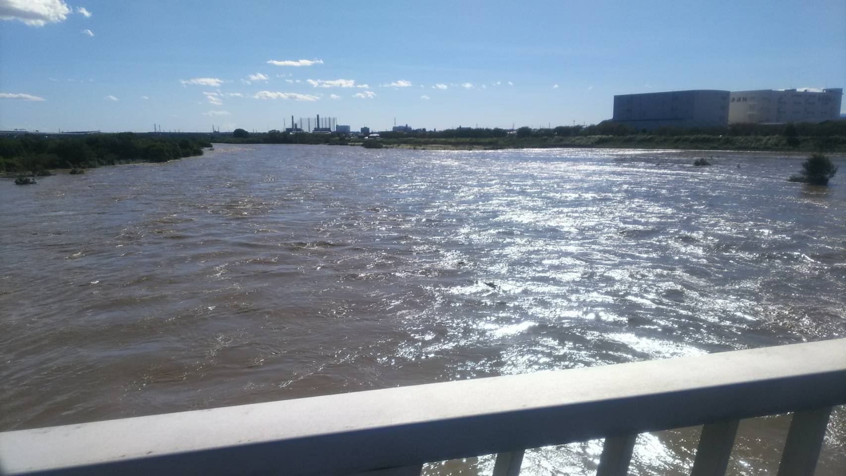 b0374059_13190251.jpg