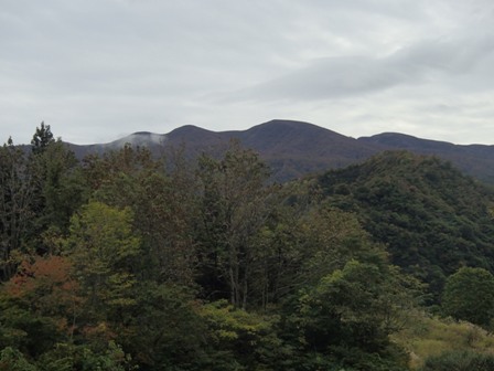a0344771_16362565.jpg