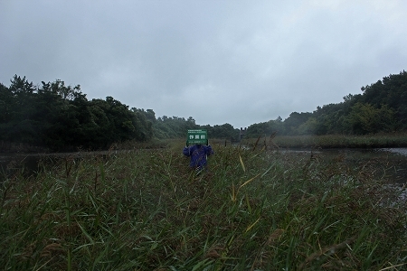 ★本日の草刈は中止となりました_e0046474_17411396.jpg