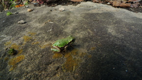 c0212083_17083981.jpg