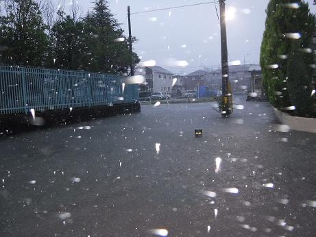 台風２１号が宮城県に直撃_d0261484_1351362.jpg