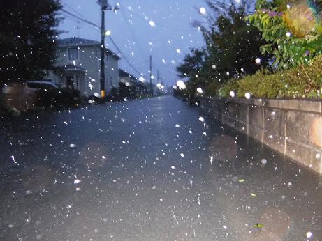 台風２１号が宮城県に直撃_d0261484_13523074.jpg