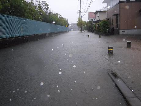 台風２１号が宮城県に直撃_d0261484_149369.jpg