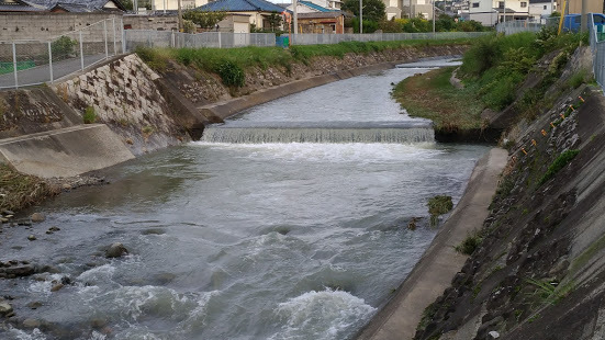 f0053885_19183316.jpg
