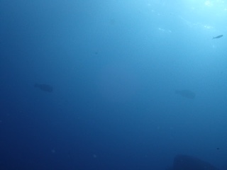 第2弾!!_f0144385_14283788.jpg