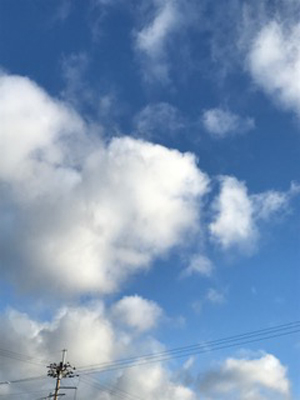 e0204795_1861710.jpg