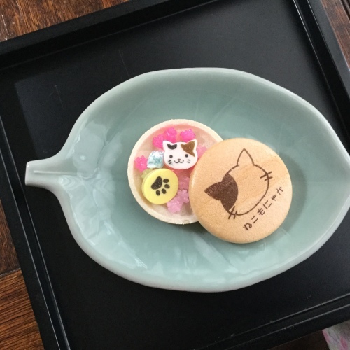 補給 &#127861;&#127841;_e0358096_20482838.jpeg
