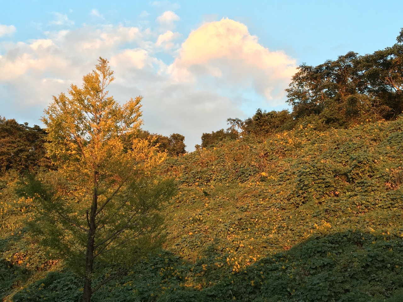 c0201302_17061798.jpg