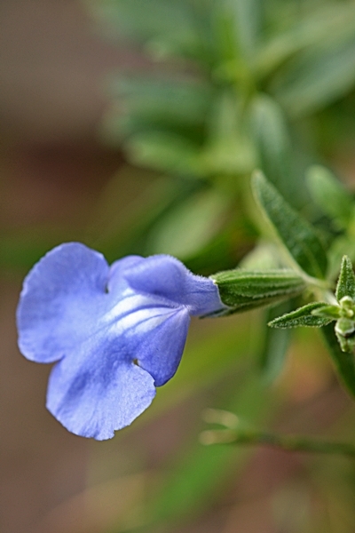 a0240403_15292777.jpg