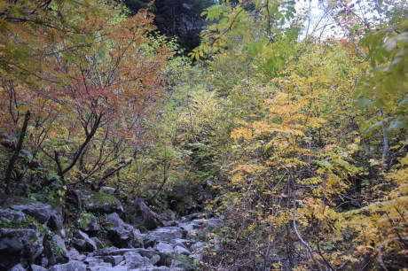 c0242406_16594307.jpg