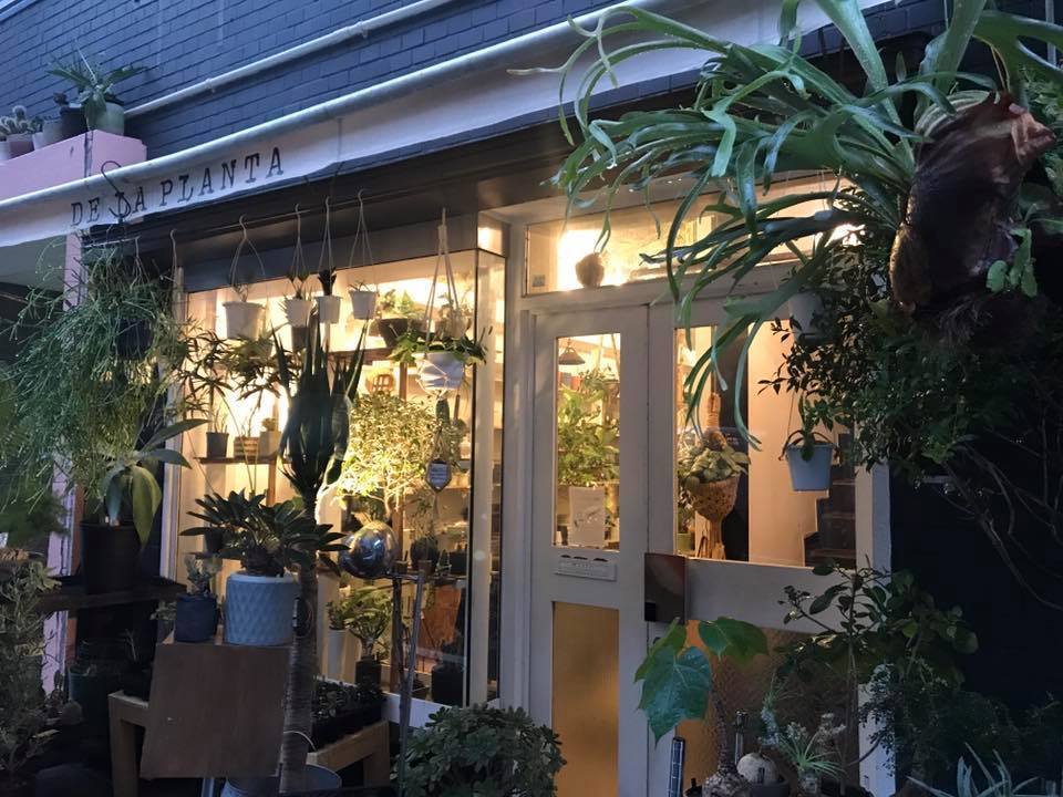 c0178009_20351302.jpg
