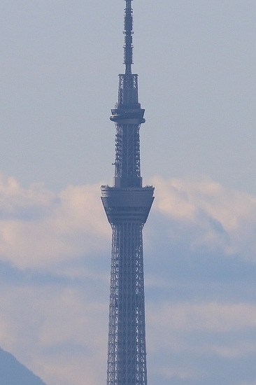a0159414_18594815.jpg