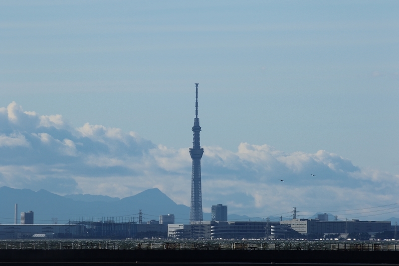 a0159414_18595477.jpg