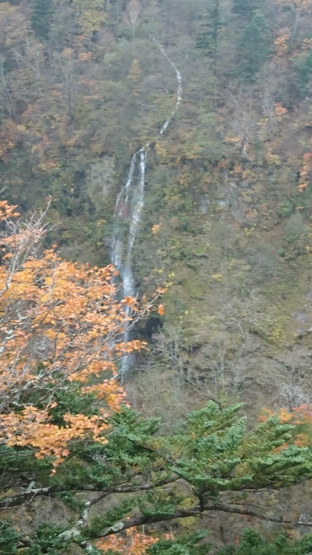 e0126914_20294065.jpg