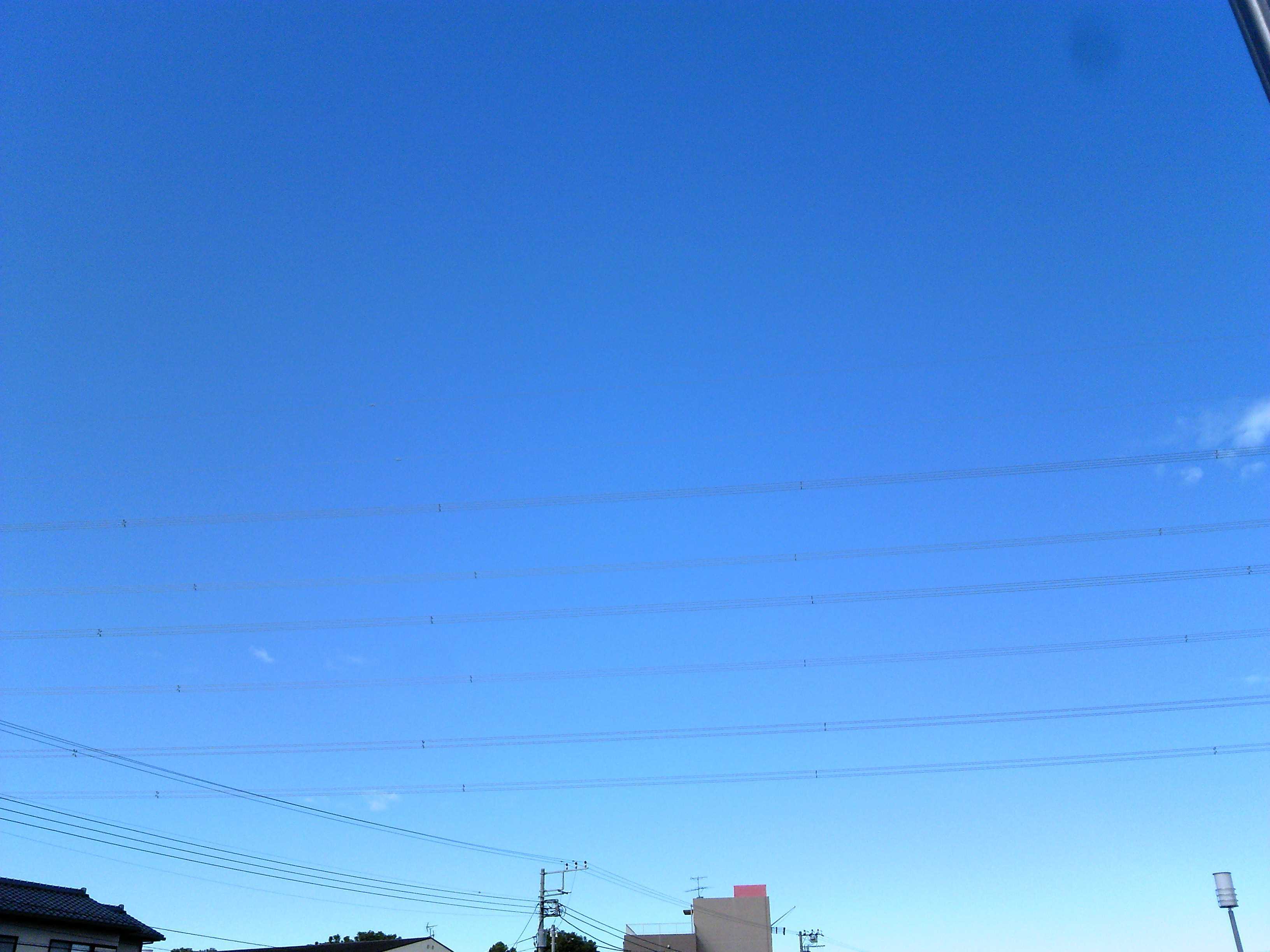 f0376214_01444392.jpg