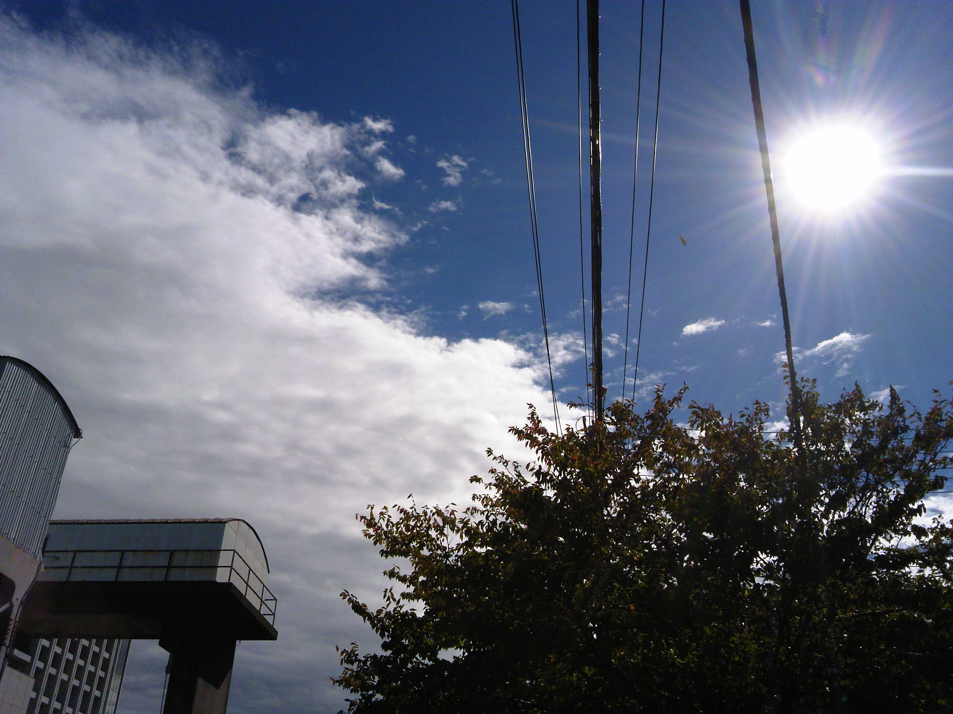 f0376214_01445962.jpg