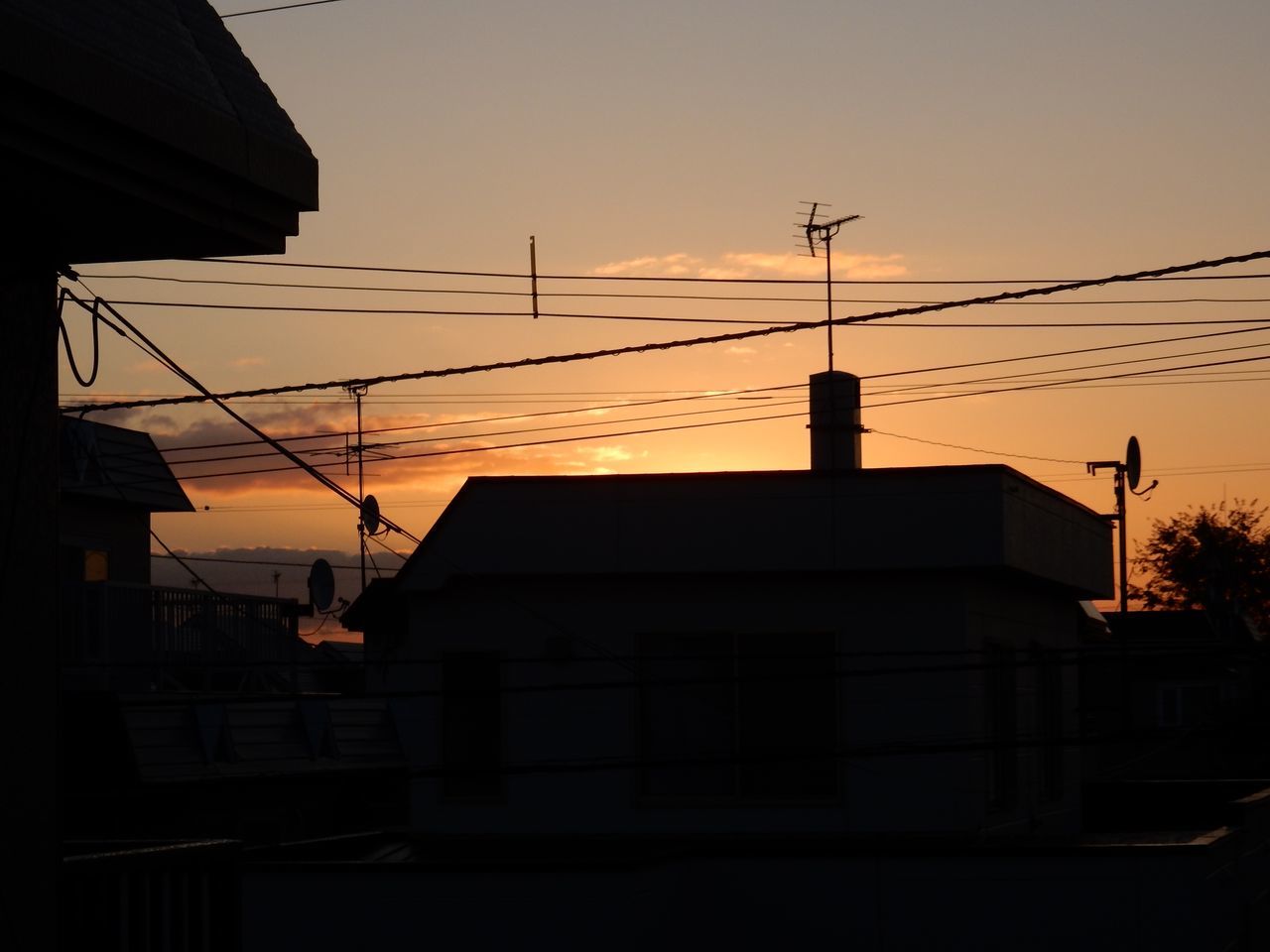 太陽より早起きした朝_c0025115_20385444.jpg
