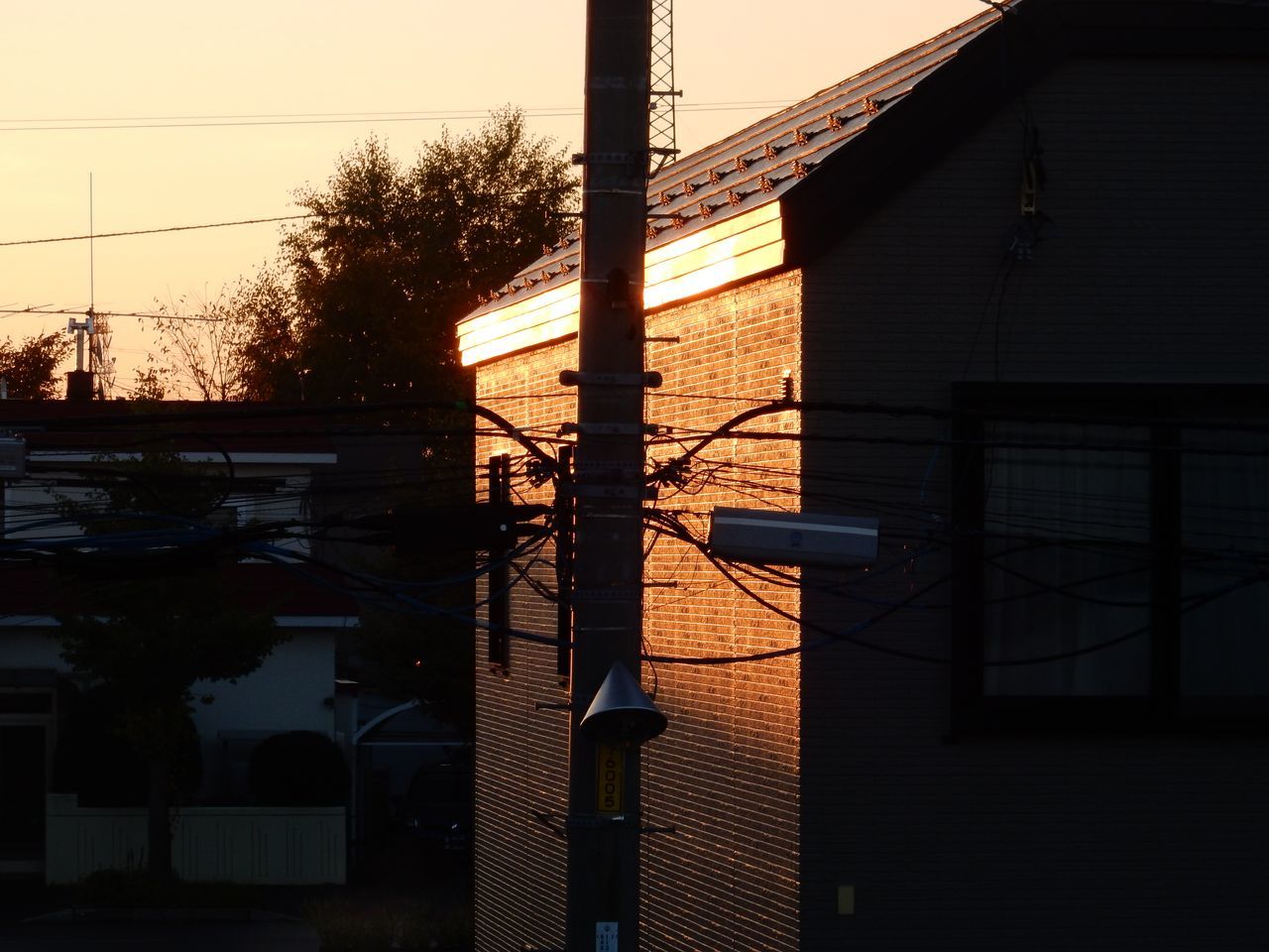 太陽より早起きした朝_c0025115_20410237.jpg