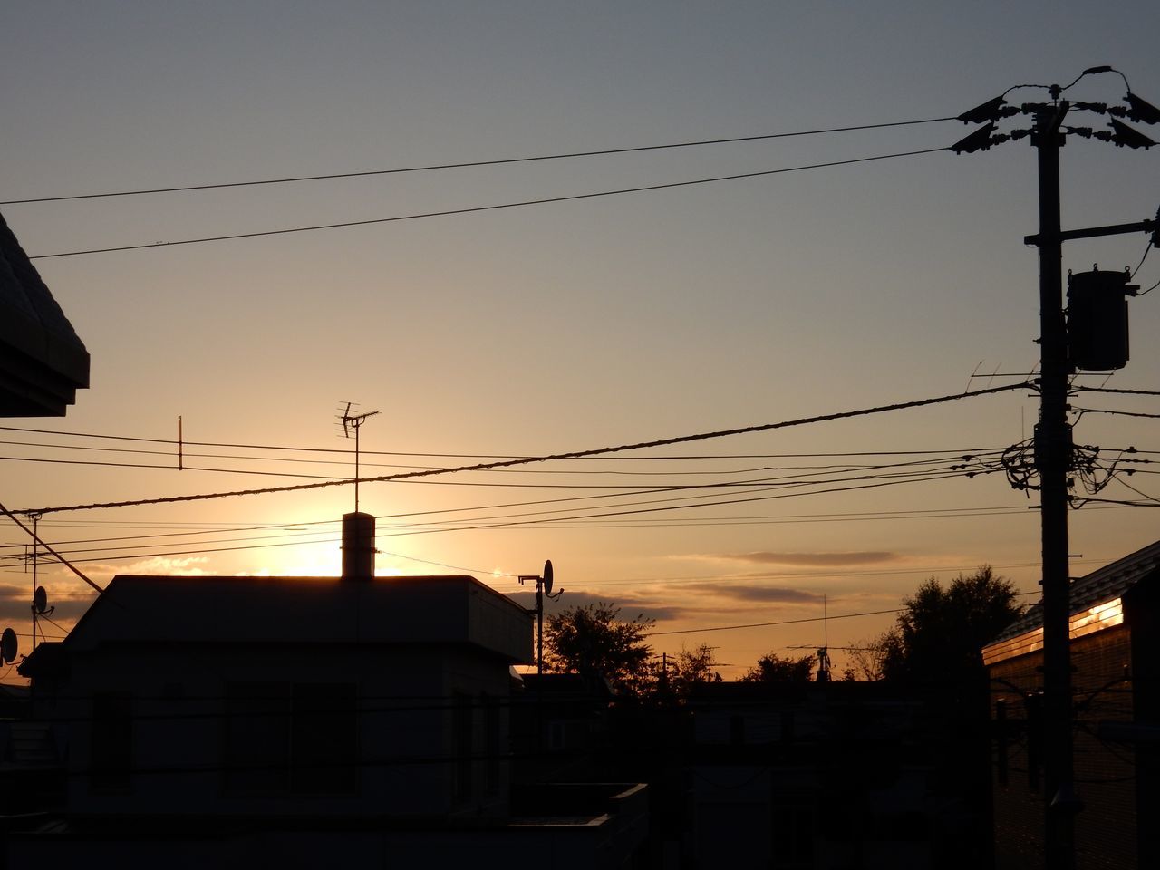 太陽より早起きした朝_c0025115_20441593.jpg