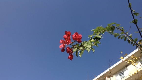 b0325317_13310449.jpeg