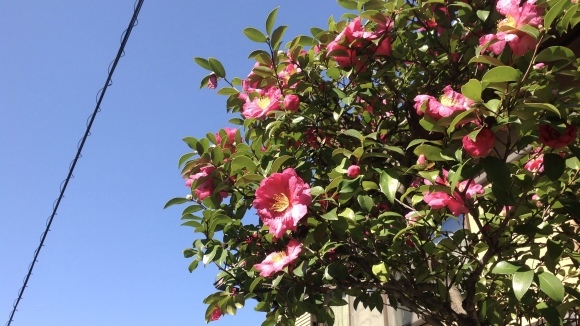 b0325317_13313469.jpeg