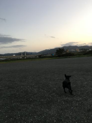 c0114121_0103153.jpg