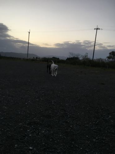 c0114121_0112473.jpg