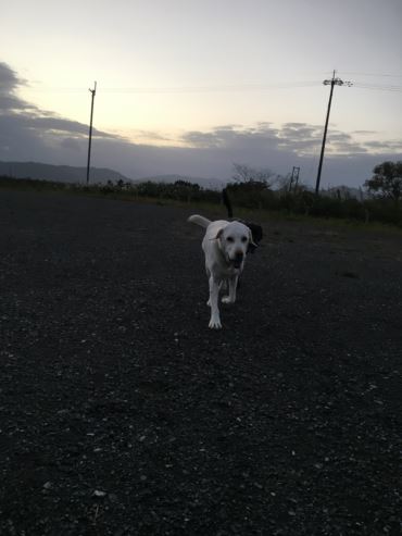 c0114121_012860.jpg