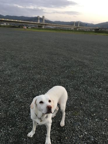 c0114121_0449100.jpg