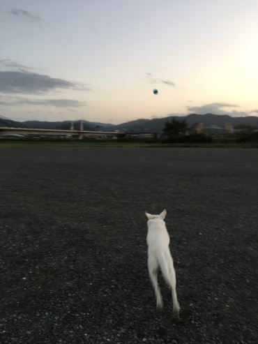 c0114121_045537.jpg