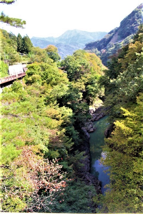 f0354923_15052479.jpg