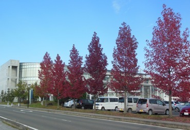 f0235026_22123562.jpg