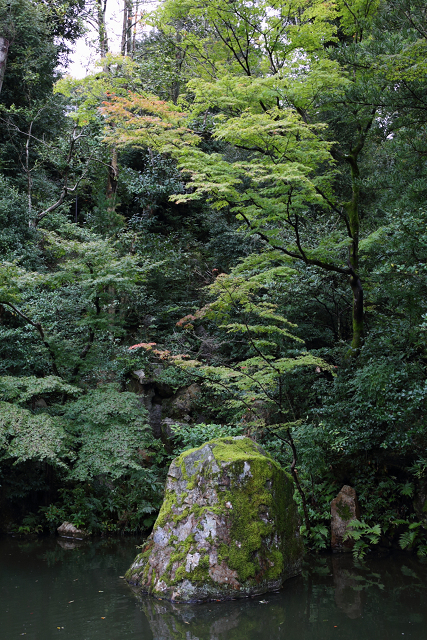 秋の知恩院 －方丈庭園、黒門－_b0169330_0925100.jpg