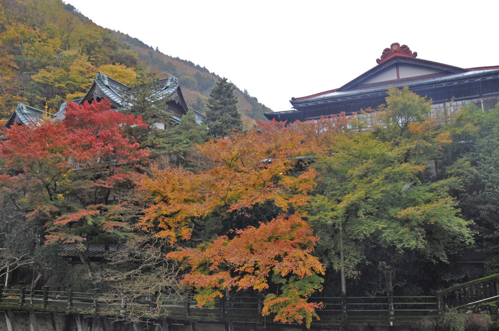 箱根登山鉄道_e0367330_15162662.jpg