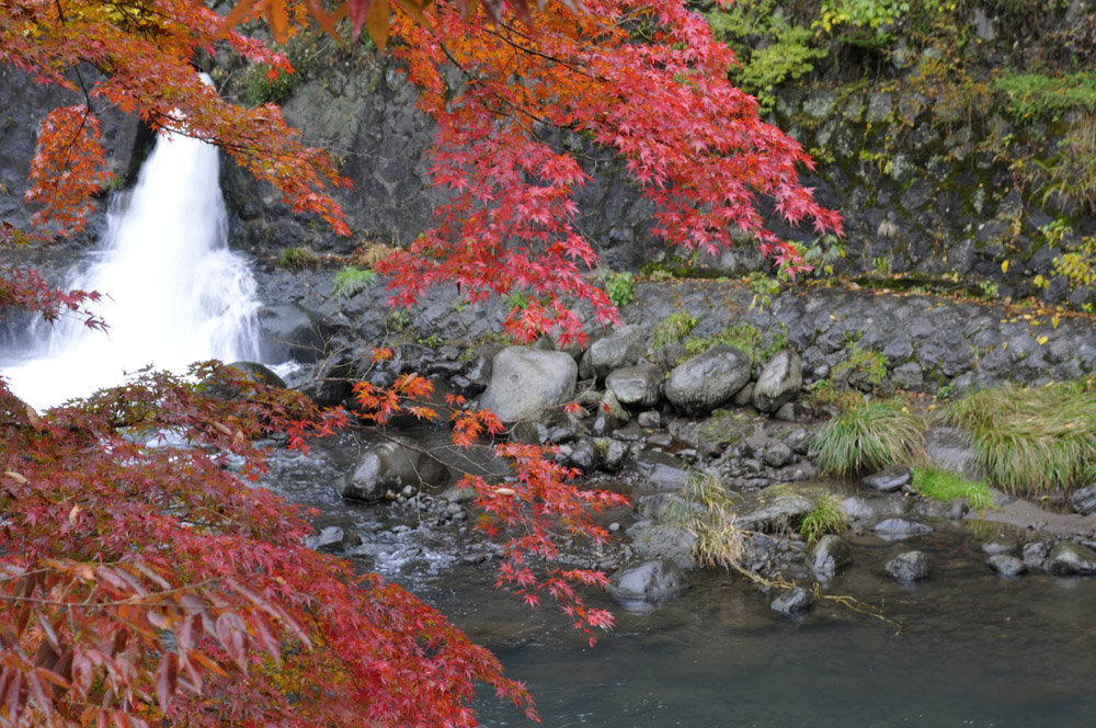 箱根登山鉄道_e0367330_15192823.jpg