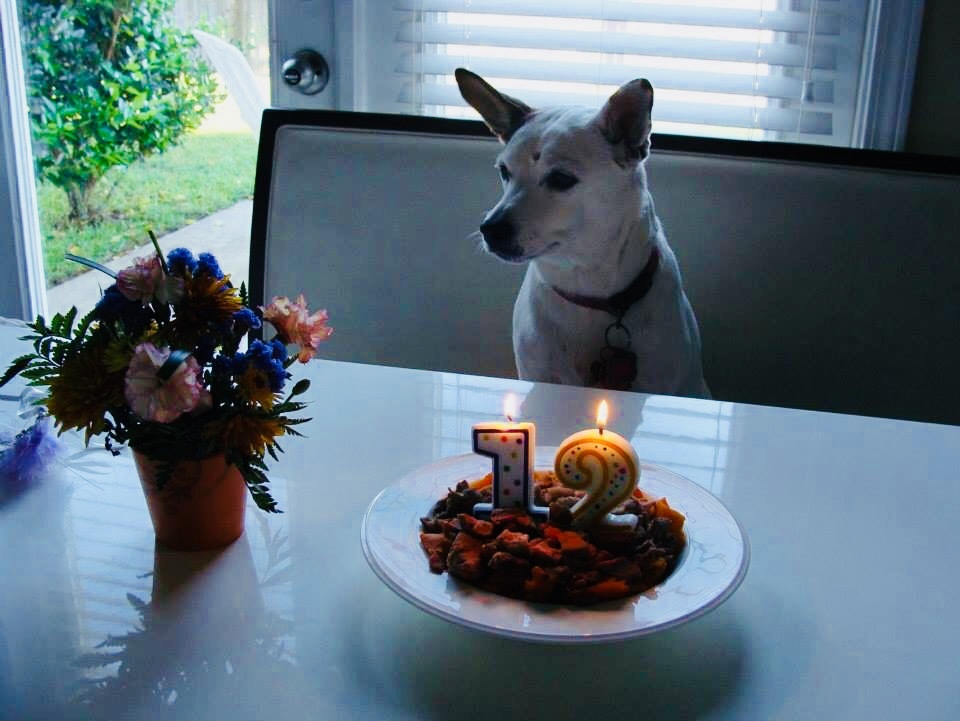 d0269832_07250255.jpeg